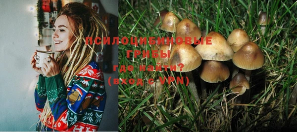 прущая мука Краснослободск