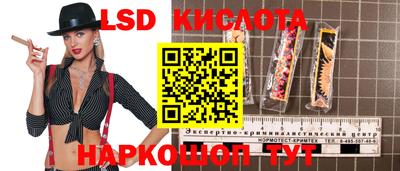 стафф Донецк