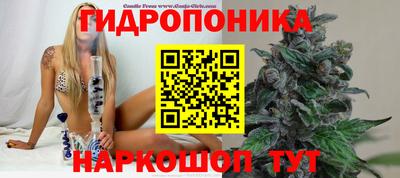 стафф Донецк