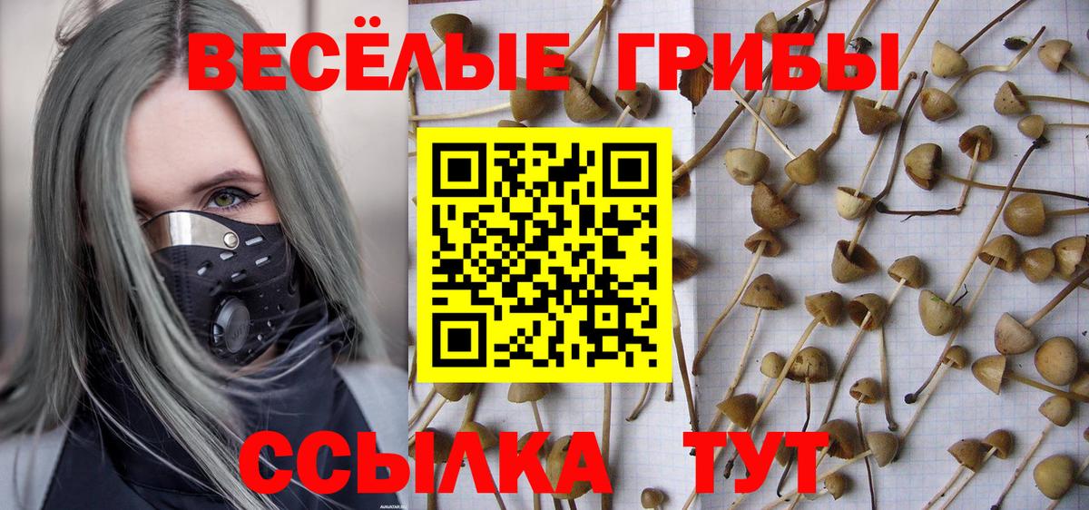 Псилоцибиновые грибы Psilocybe  Вход с VPN  Галлюциногенные грибы MAGIC MUSHROOMS  Краснодар 