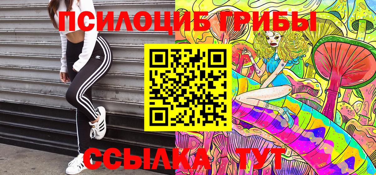Псилоцибиновые грибы прущие грибы Краснодар