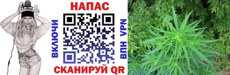 ссылка на мегу ССЫЛКА  где купить наркоту  Краснодар  Каннабис THC 21% 